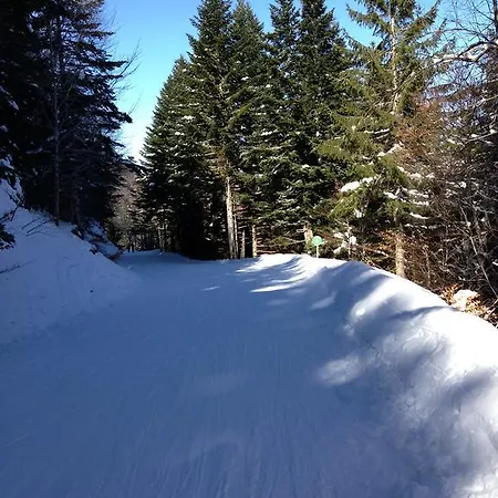 Soleil Des Thermes 2 Apartment Le Mont-Dore