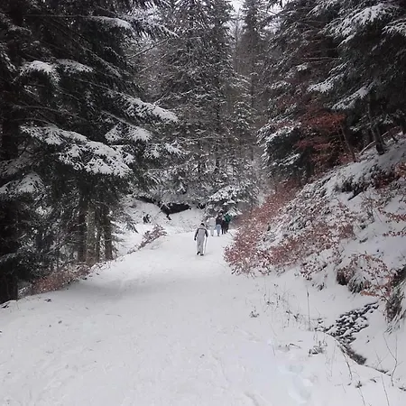 شقة Soleil Des Thermes 2 لو مونت دوري